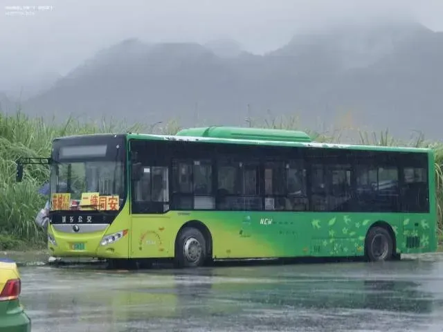 桂C00831D