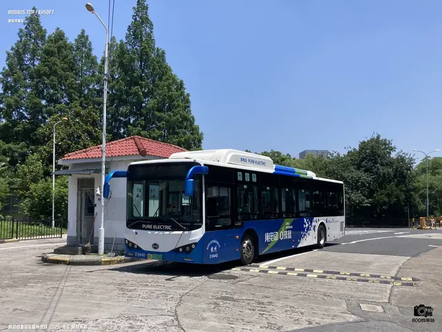 浙A 03080D