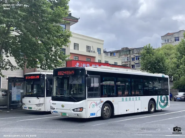 浙A 01991F
