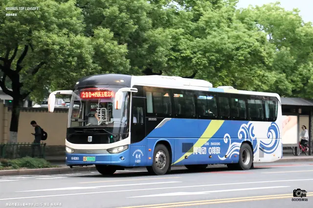 浙A 03310D