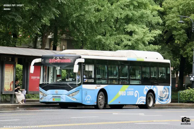 800BUS