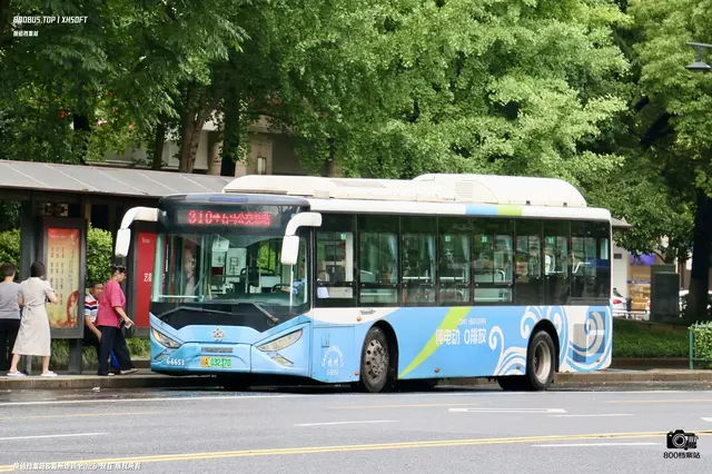800BUS
