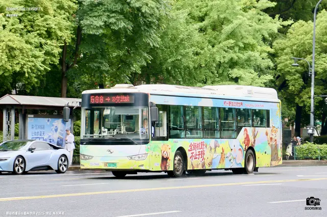 800BUS