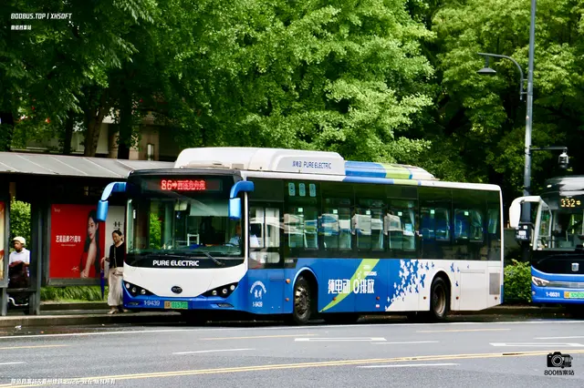 浙A 01570D