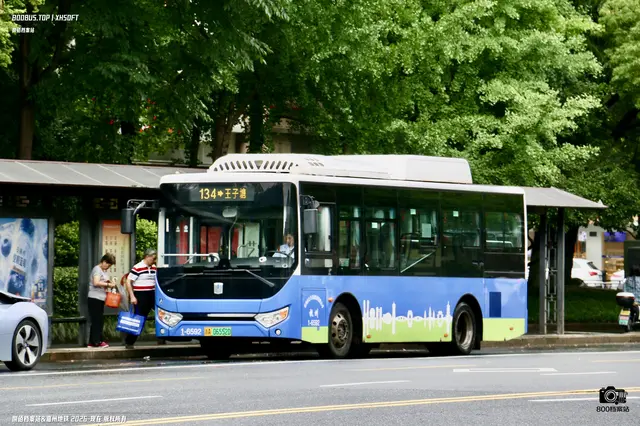 800BUS