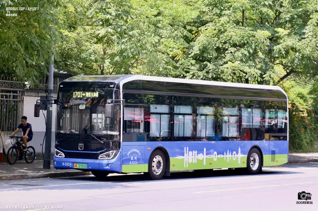 800BUS
