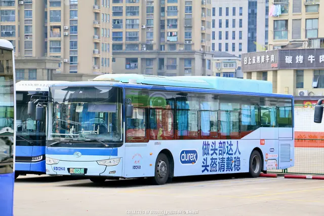 浙A 09531D