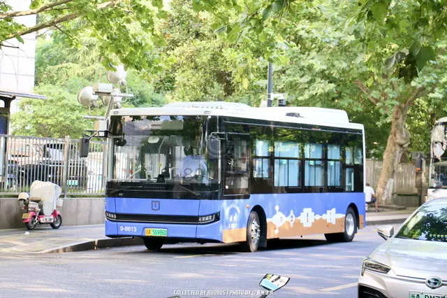 浙A 56986D