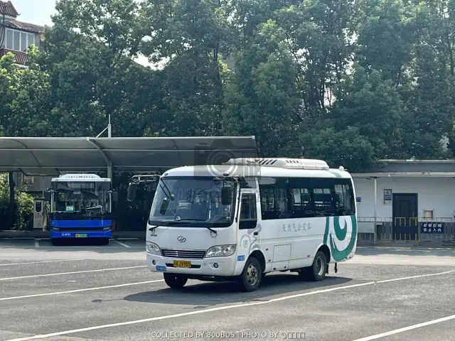 浙A 2V905