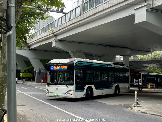 800BUS