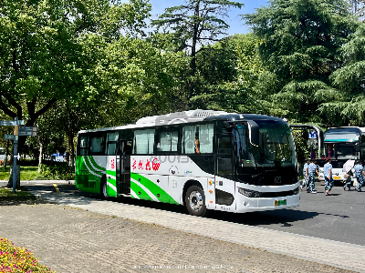 浙A 00963F