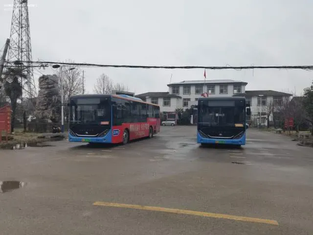苏C01078D 苏C07367D