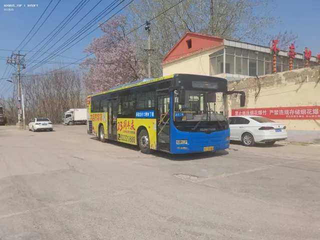 800BUS