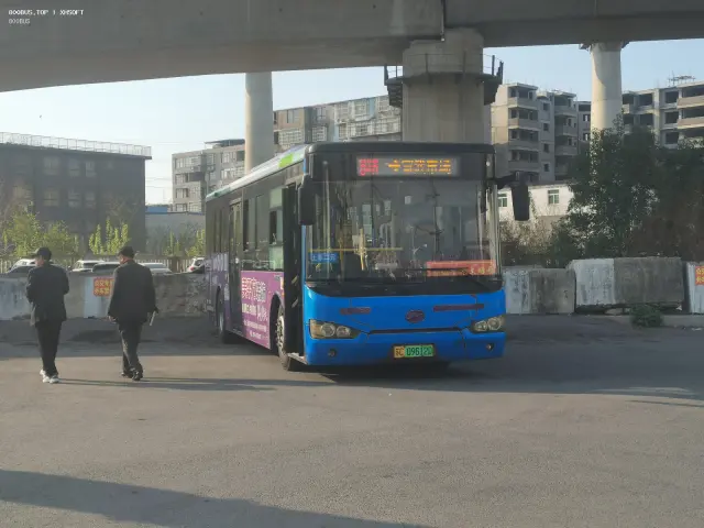 800BUS