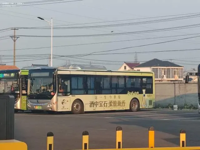 苏F 01000D