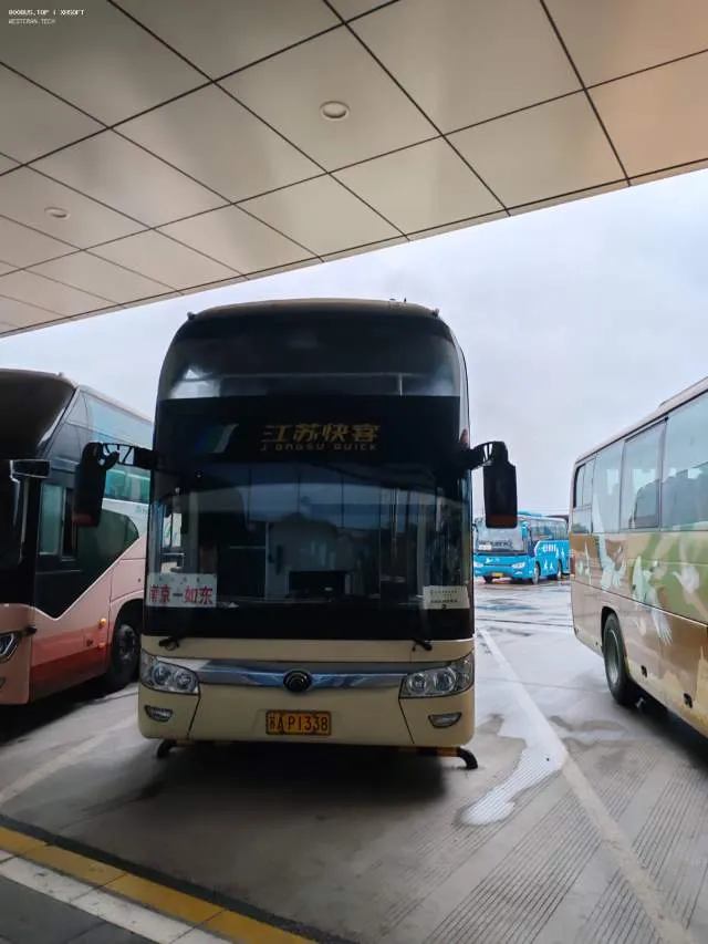 苏A P1338