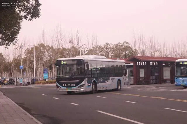 苏F 09169D