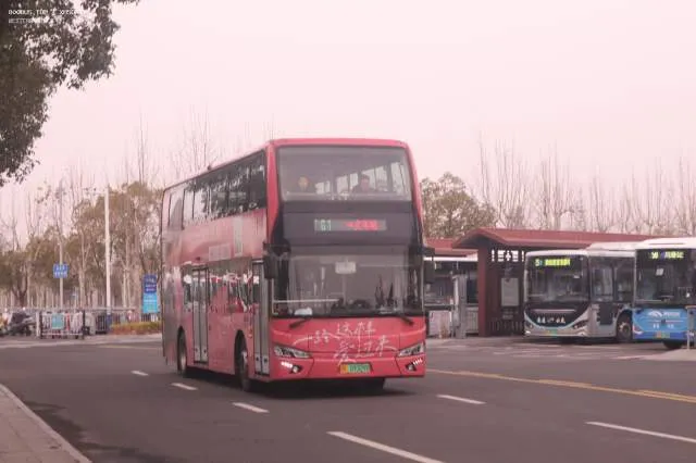 苏F 09329D