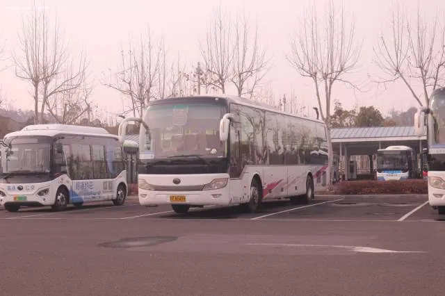 苏F N5498