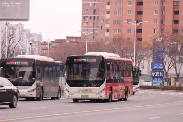 苏F 09832D