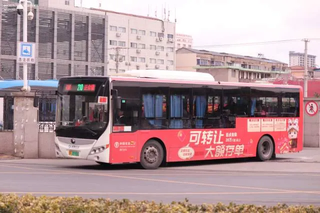 苏F 06988D