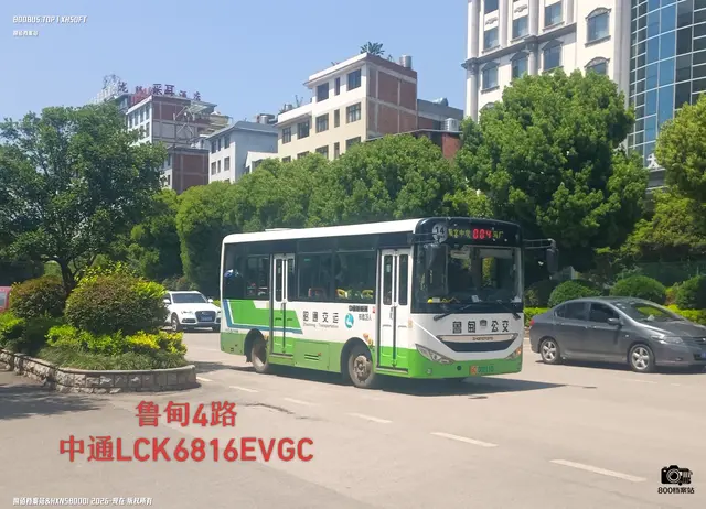800BUS