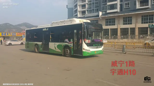 800BUS