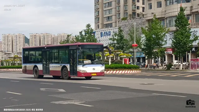 800BUS