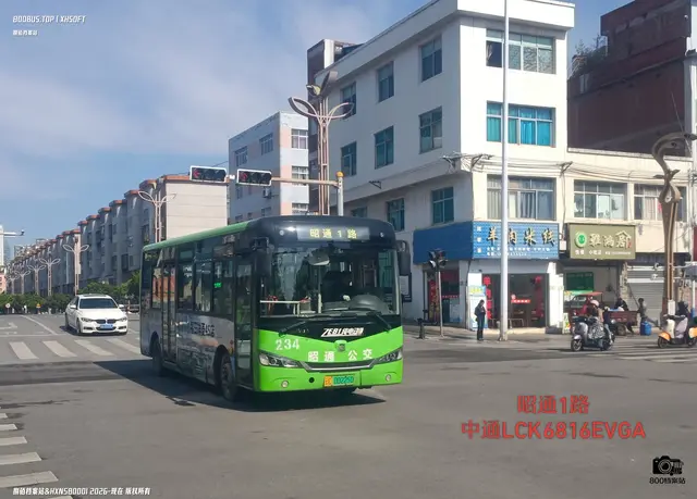 800BUS