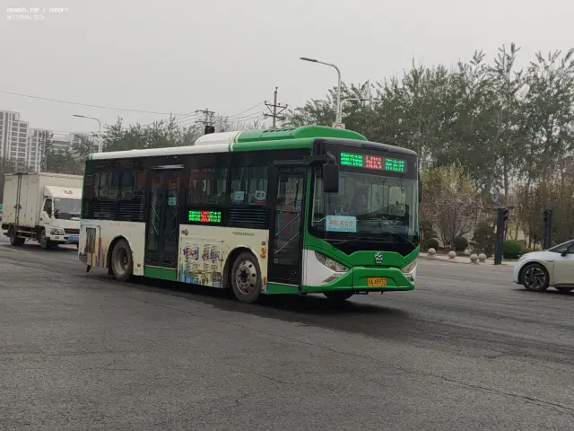 800BUS
