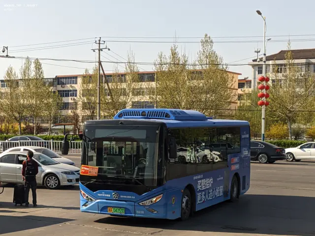 800BUS