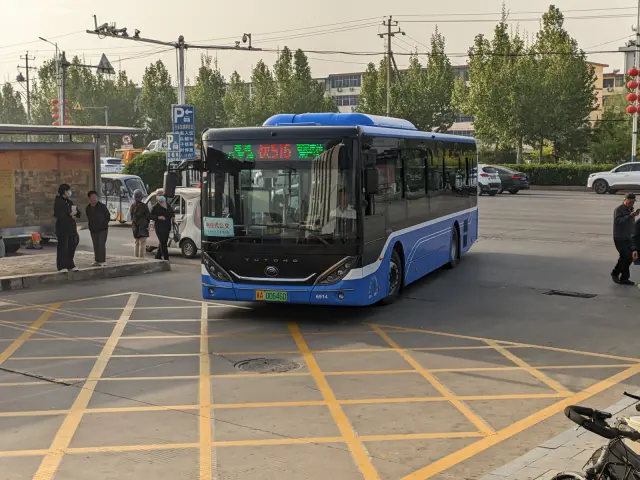 800BUS