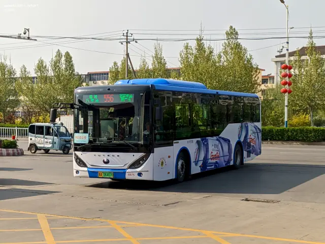 800BUS