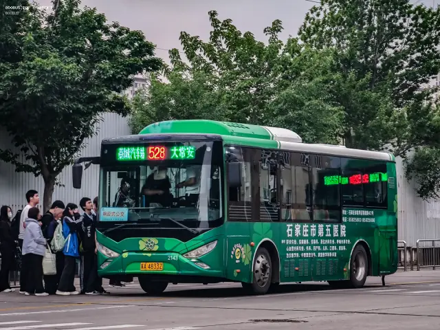 800BUS
