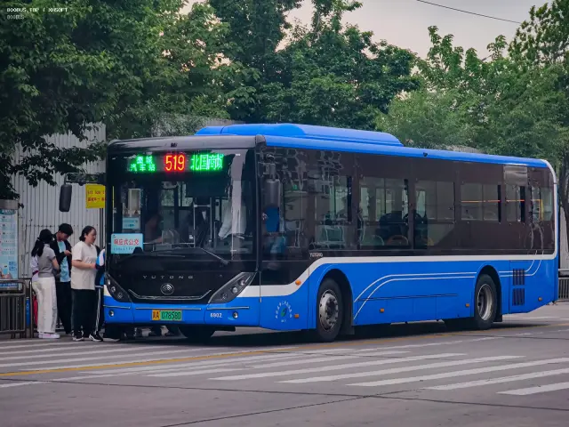 800BUS