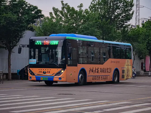 800BUS