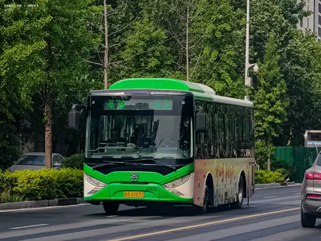 800BUS
