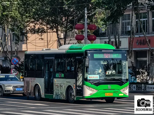 800BUS
