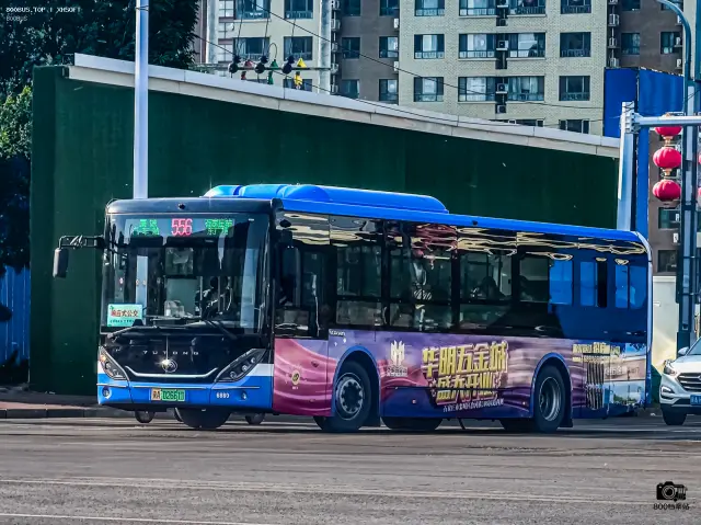800BUS