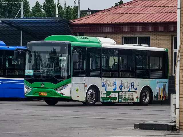 800BUS