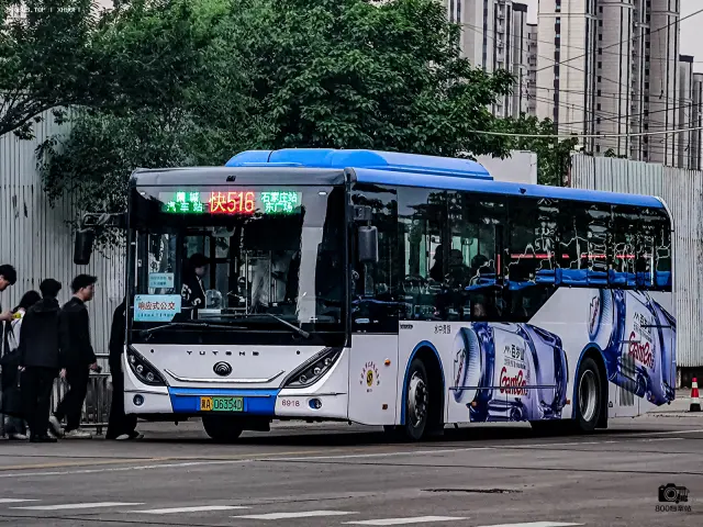 800BUS