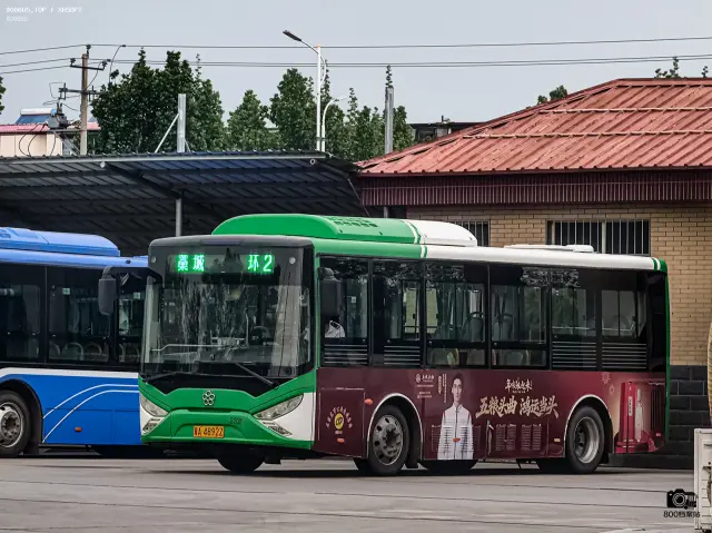 800BUS