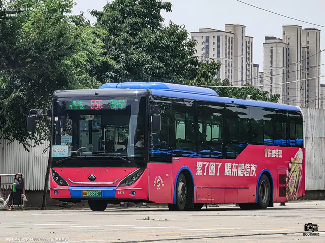 800BUS