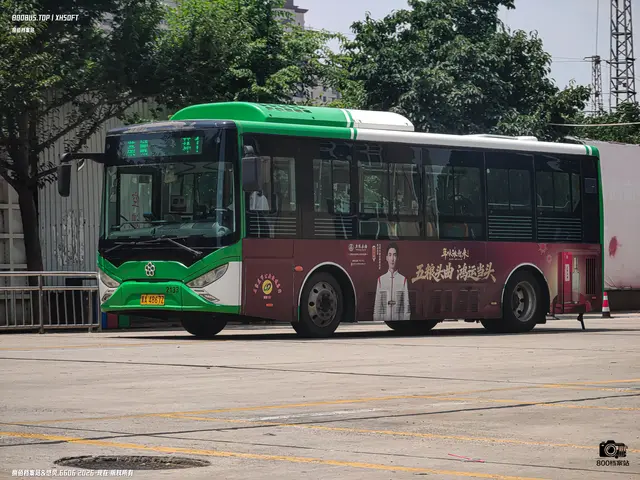 800BUS
