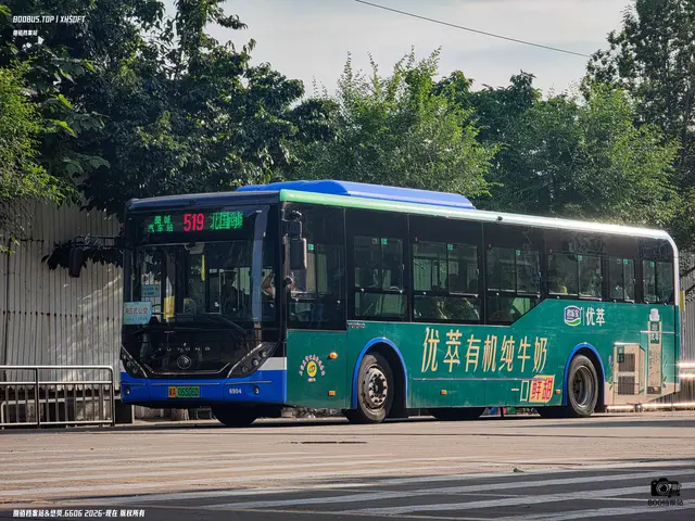 800BUS