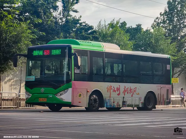 800BUS