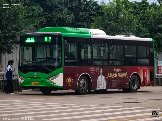 800BUS