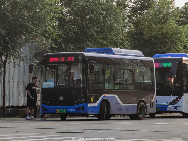 冀A 00652D