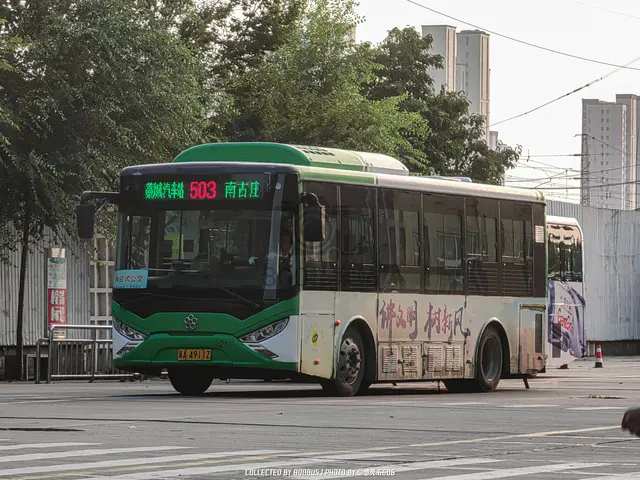 冀A 4911Z