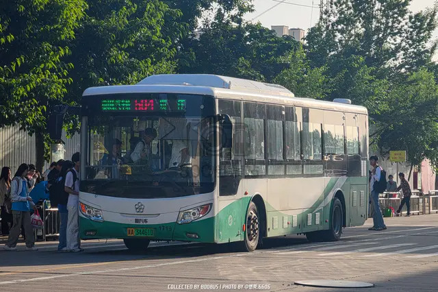 800BUS